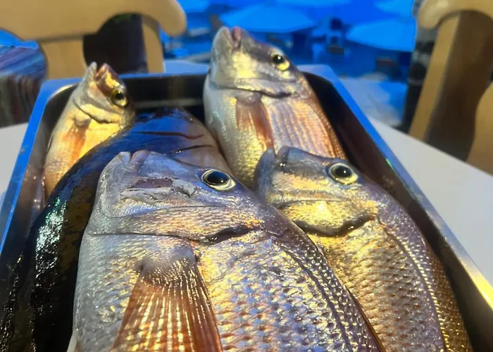 Hotel To Votsalo-beach Side & Taverna