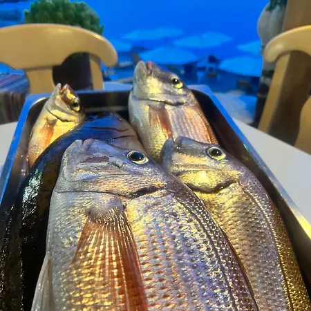 Отель To Votsalo-beach Side & Taverna