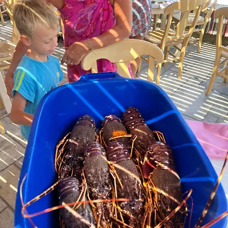 Отель To Votsalo-beach Side & Taverna 3*